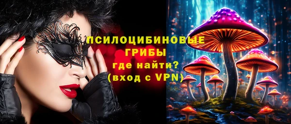ешки Каменка