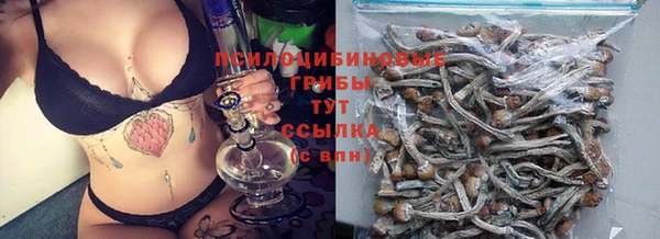 mdma Каменногорск